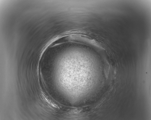 X0000085810148200703301534