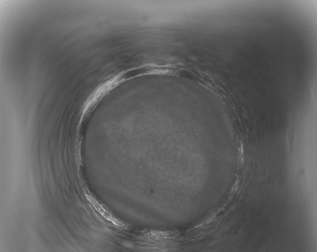 X0000085810149200703301534