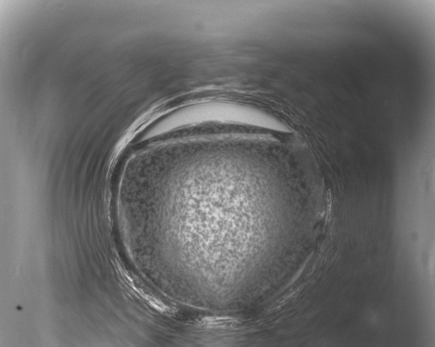 X0000085810150200703301534