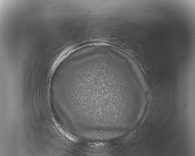 X0000085810151200703301534