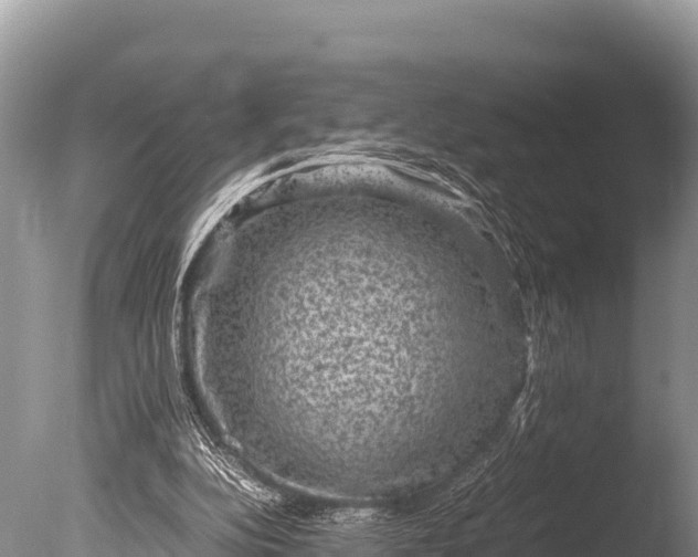 X0000085810152200703301534