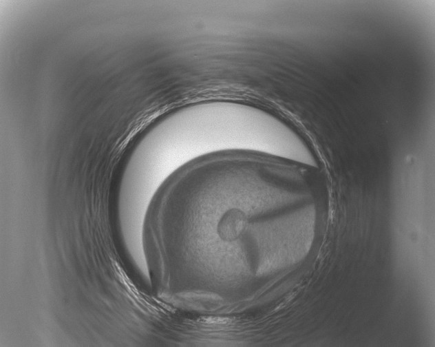 X0000085810154200703301534