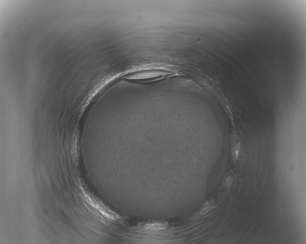 X0000085810156200703301534