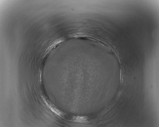 X0000085810157200703301534