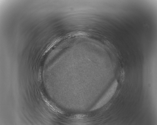 X0000085810158200703301534