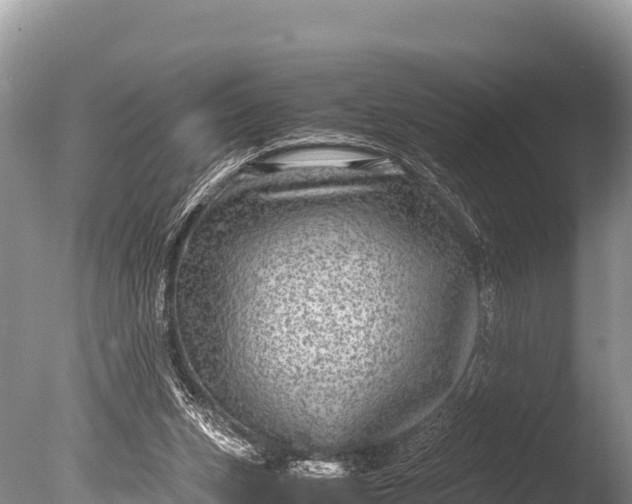 X0000085810159200703301534