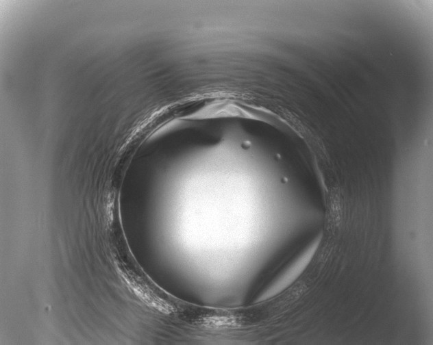 X0000085810160200703301534