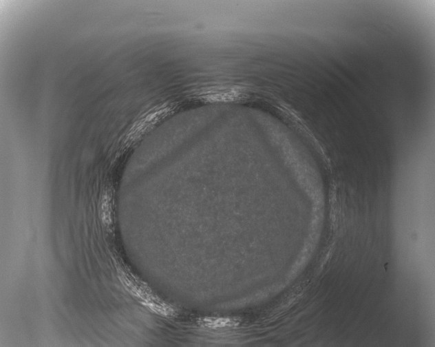 X0000085810161200703301534