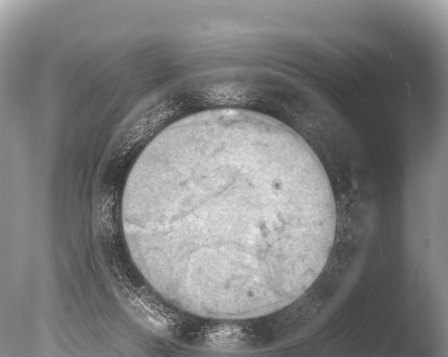 X0000085810162200703301534