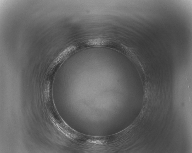 X0000085810163200703301535