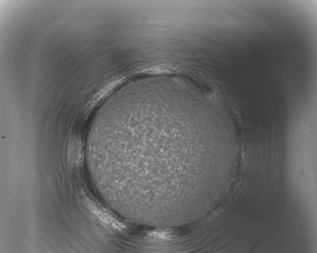 X0000085810164200703301535