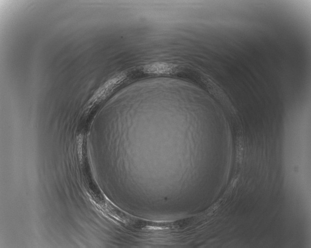 X0000085810167200703301535