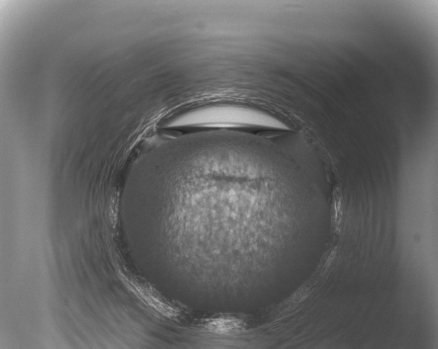 X0000085810168200703301535