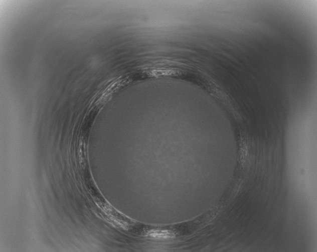 X0000085810169200703301535