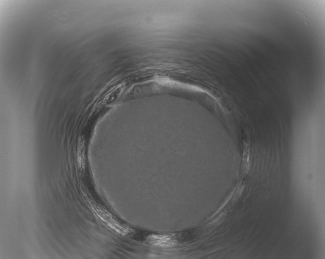 X0000085810170200703301535