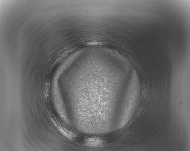 X0000085810171200703301535