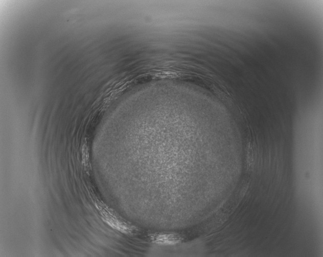 X0000085810173200703301535