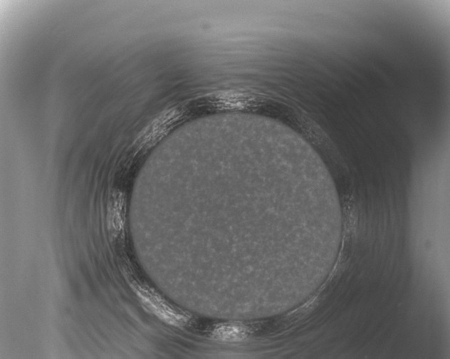 X0000085810174200703301535