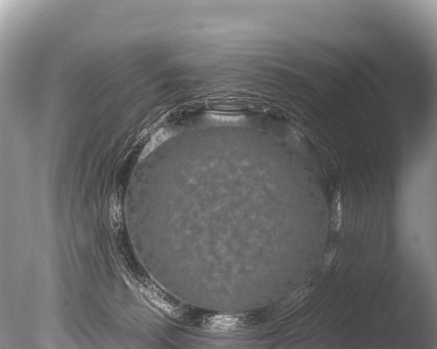 X0000085810176200703301535