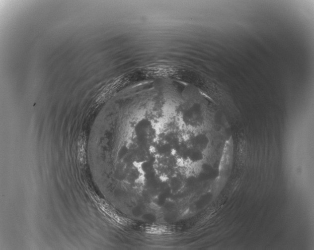 X0000085810177200703301535