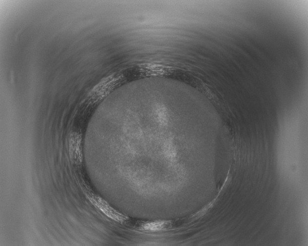 X0000085810178200703301535