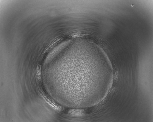 X0000085810179200703301535