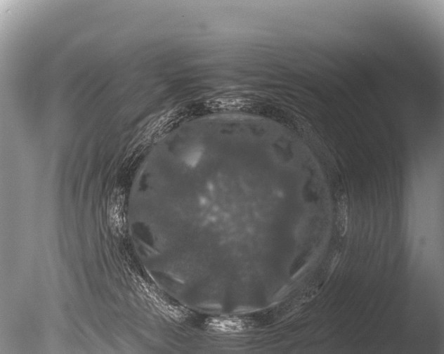 X0000085810181200703301535