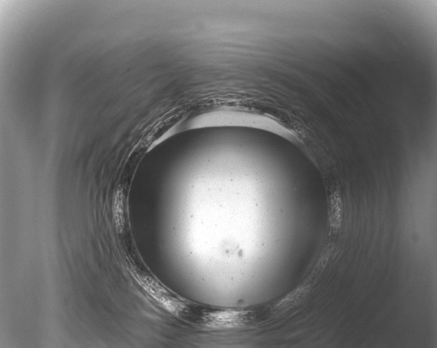 X0000085810184200703301535