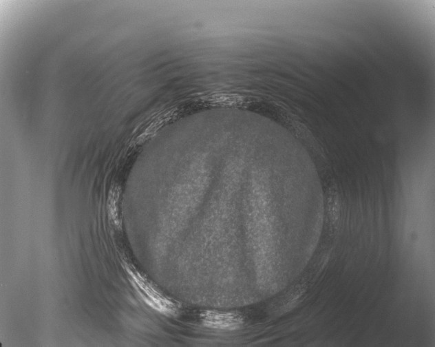 X0000085810185200703301535