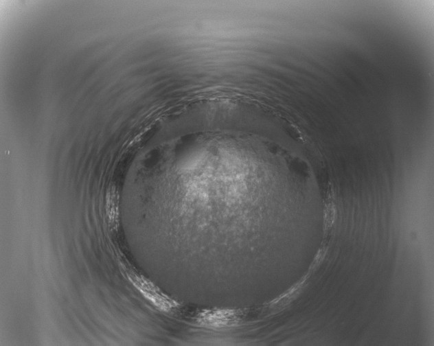 X0000085810186200703301535