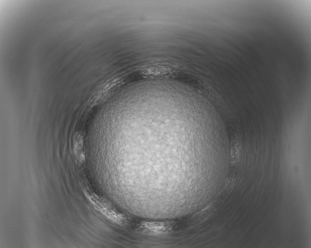 X0000085810187200703301535