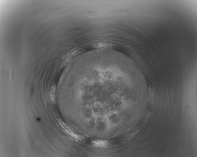 X0000085810189200703301535