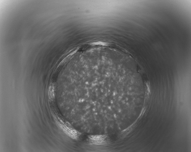 X0000085810191200703301535