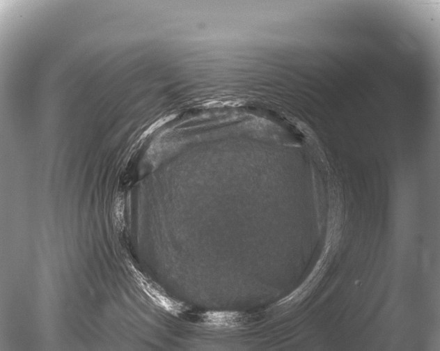 X0000085810192200703301535