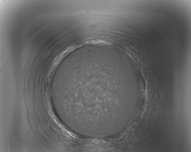 X0000085810193200703301534