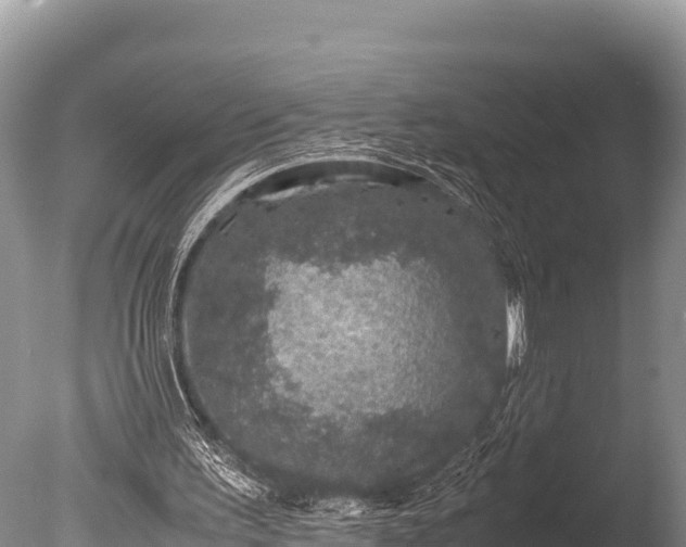 X0000085810195200703301534