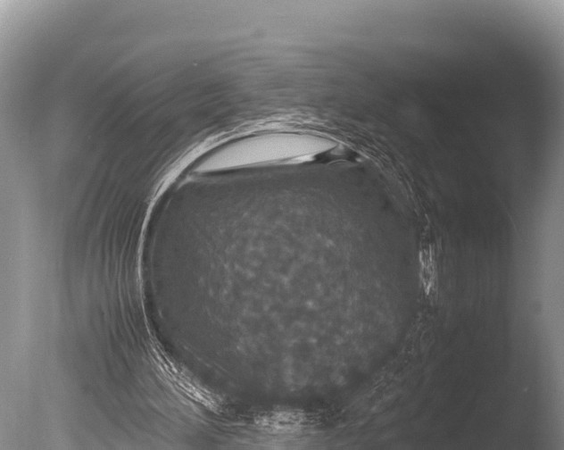 X0000085810196200703301534