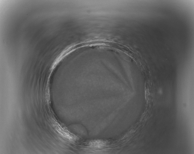 X0000085810198200703301534