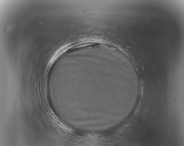 X0000085810199200703301534