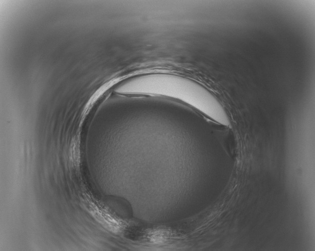 X0000085810200200703301534