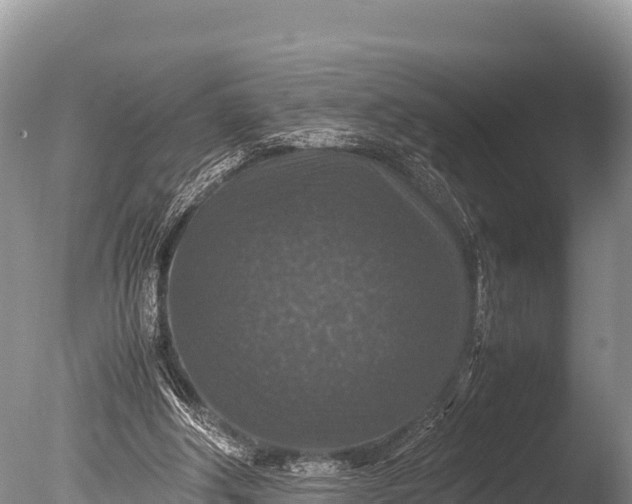 X0000085810202200703301534