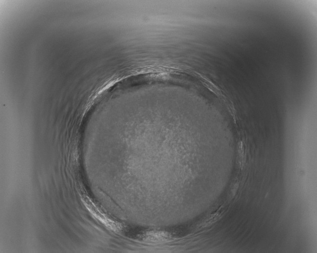 X0000085810203200703301534