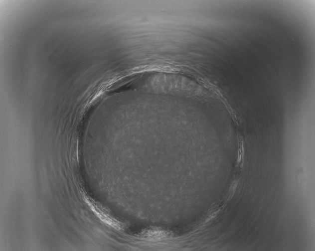 X0000085810205200703301534