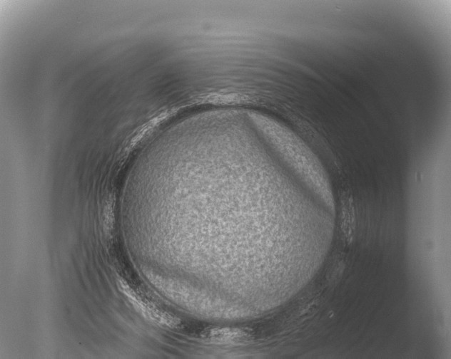 X0000085810208200703301534