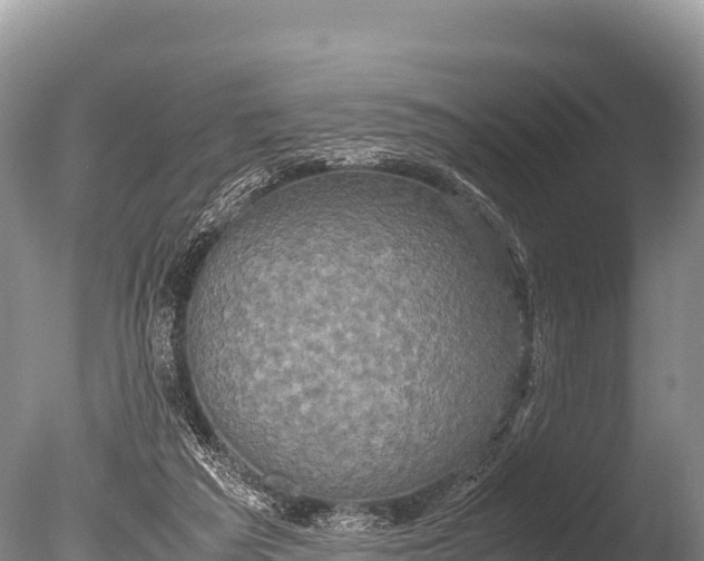 X0000085810209200703301534