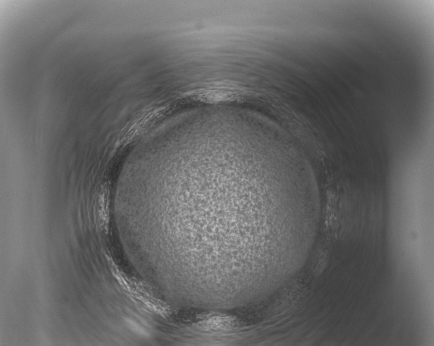 X0000085810210200703301534