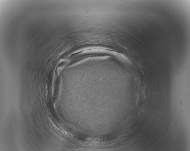 X0000085810211200703301534