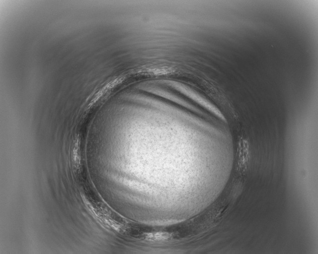 X0000085810212200703301534