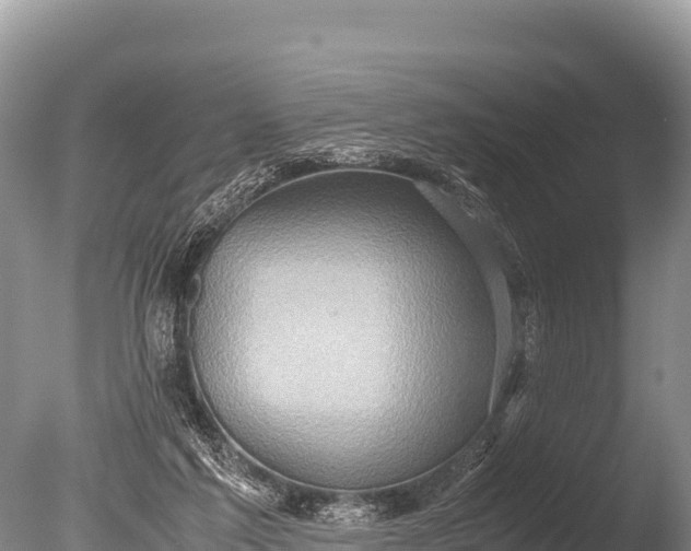 X0000085810213200703301534