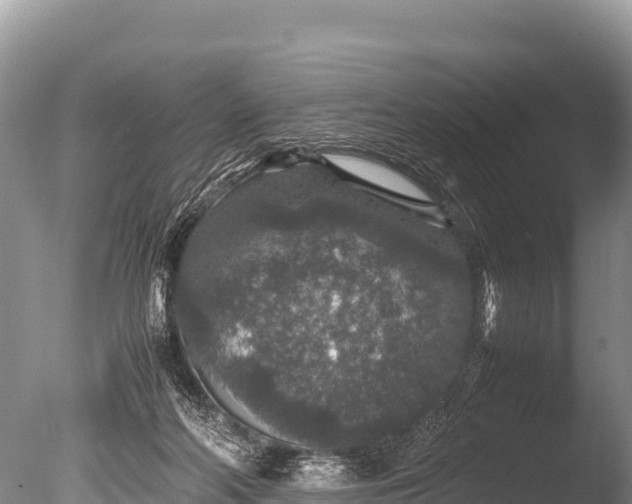 X0000085810214200703301534